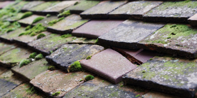 Worsley roof repair costs